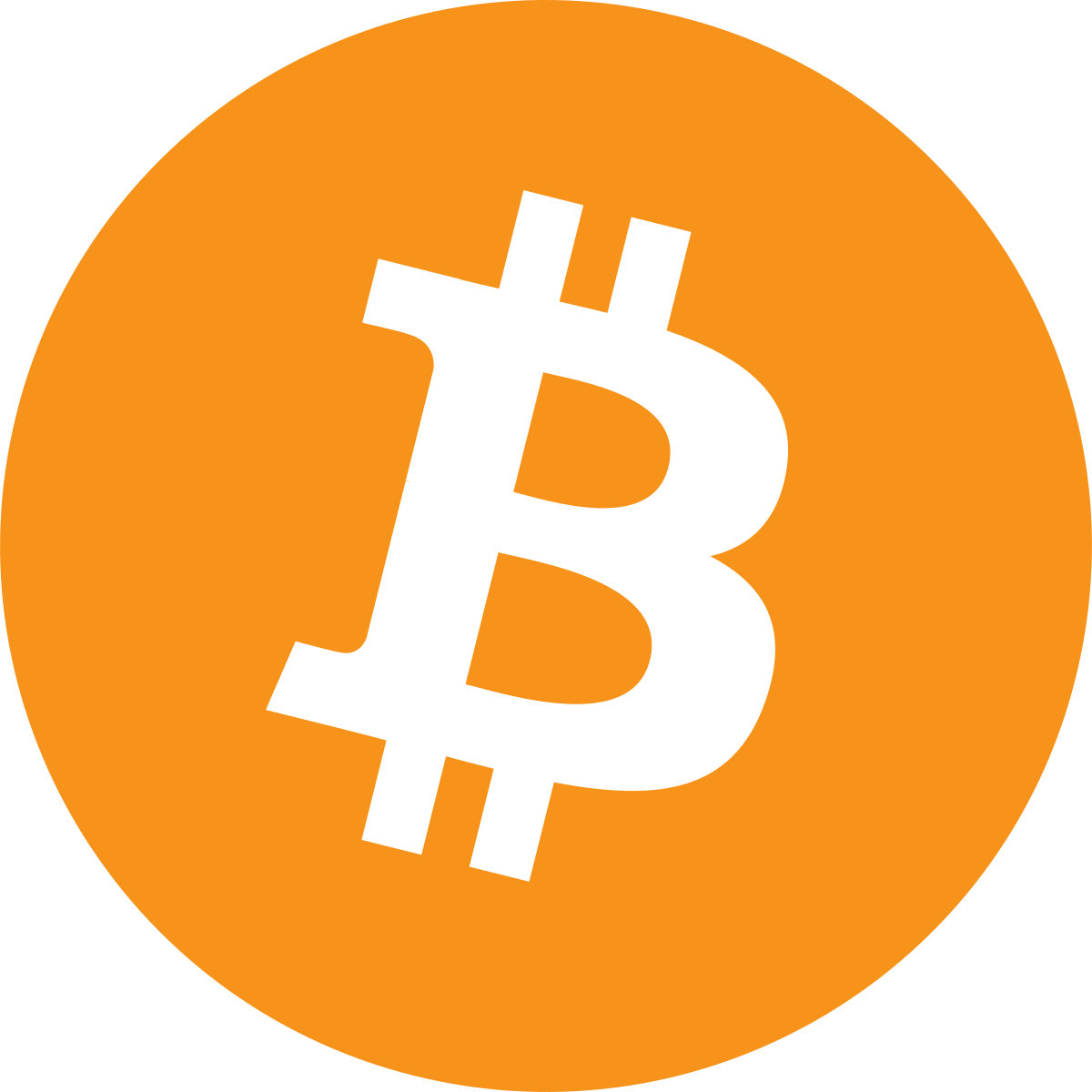 Bitcoin Icon